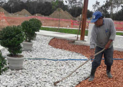 Instalación de plantas ornamentales